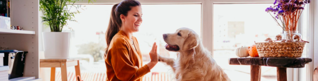 CURSO EN ADIESTRAMIENTO Y FOTOGRAFÍA CANINA